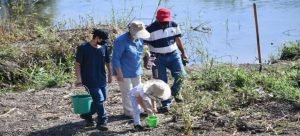 Reforestarán diferentes sindicaturas de Guasave