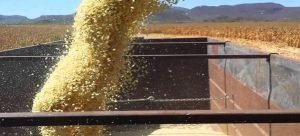 En 4 meses han captado 14 millones 720 mil 940 pesos de predial rústico