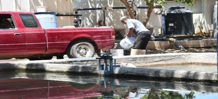 Cuatro sistemas de agua afectados por la sequía