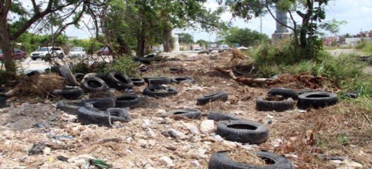 En contra de quienes tiren su basura en lugares prohibidos