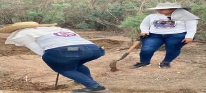 Madres Buscadoras de Sonora activan búsquedas en Guasave y Ahome