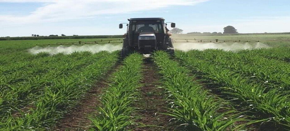 Se consiguen 7 mil mdp por cosecha agrícola