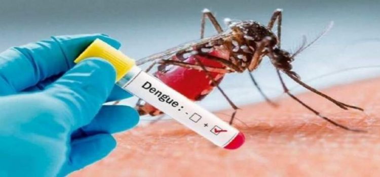 Esperan que incrementen los casos de dengue en el estado