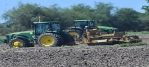 Hay buenas expectativas en la diversificación de cultivos