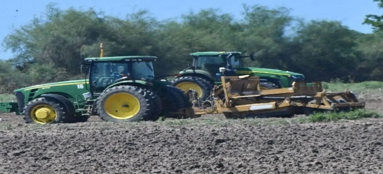 Hay buenas expectativas en la diversificación de cultivos