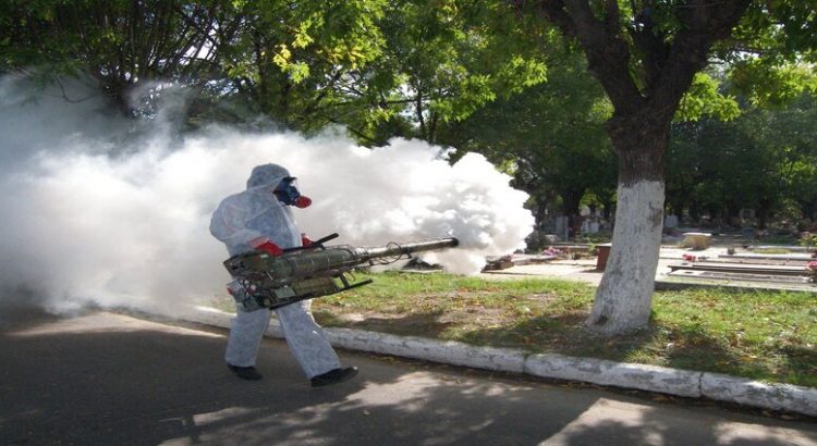 Solo fumigan los sectores vulnerables de proliferación de mosquito del dengue