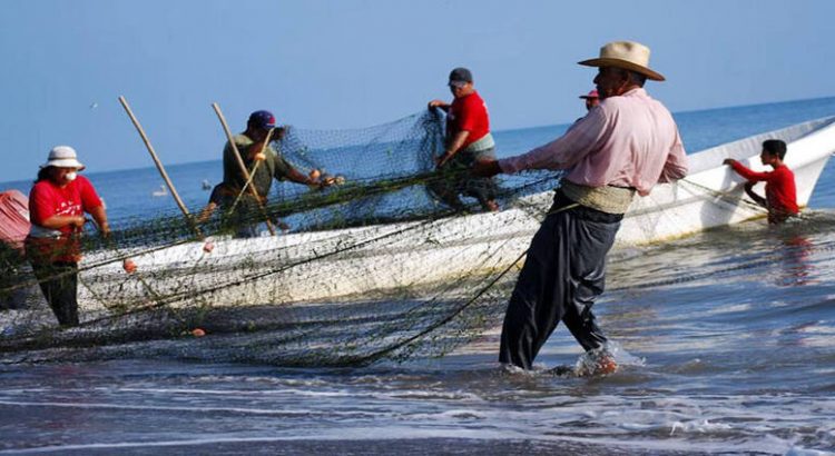 Entregan apoyos económicos al sector pesquero