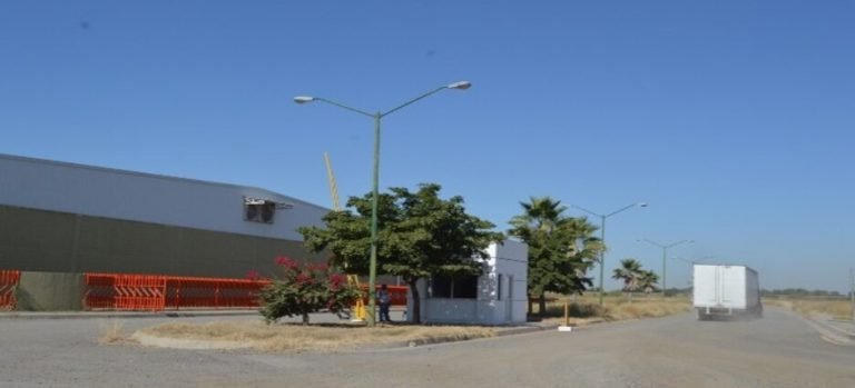 Seguirán con el proyecto de Birmex en Guasave