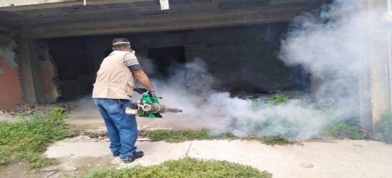 Reactivan brigadas de fumigación contra el dengue