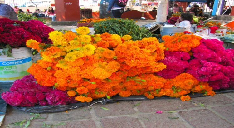 Establecen el precio oficial para la venta de flores por el Día de Muertos