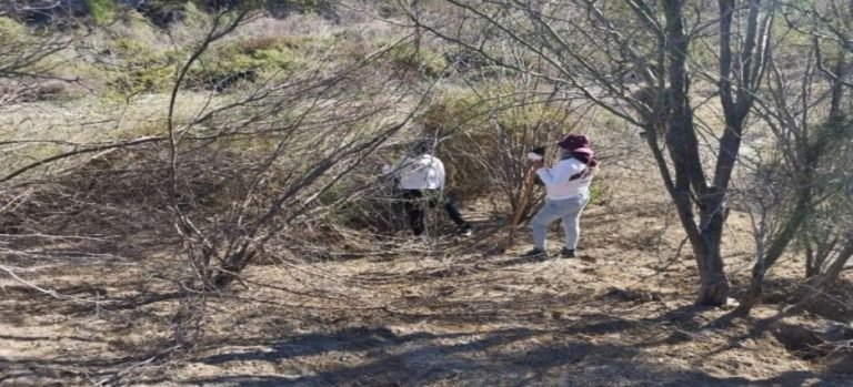 Encuentran 2 fosas clandestinas en Guasave