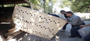 Trasladan animales del zoológico de Guasave a Culiacán