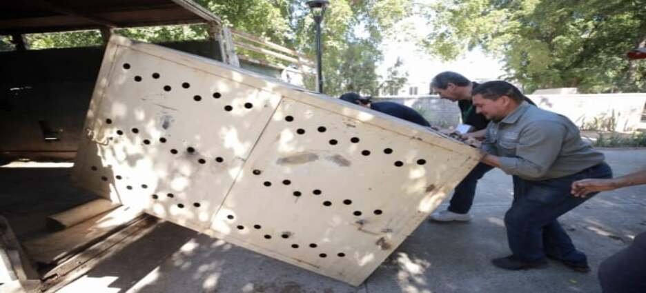 Trasladan animales del zoológico de Guasave a Culiacán