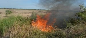 Piden a los ciudadanos evitar la quema de maleza