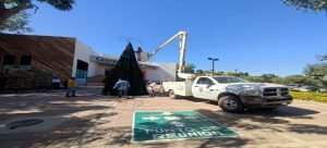 Empresarios y directores del Ayuntamiento ‘adoptarán’ espacios públicos