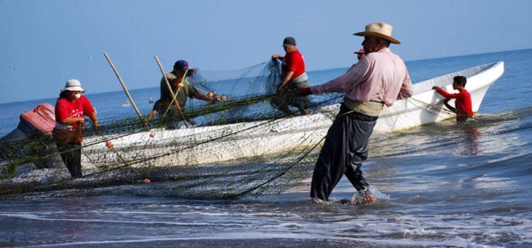 Sector pesquero cierra mal el año