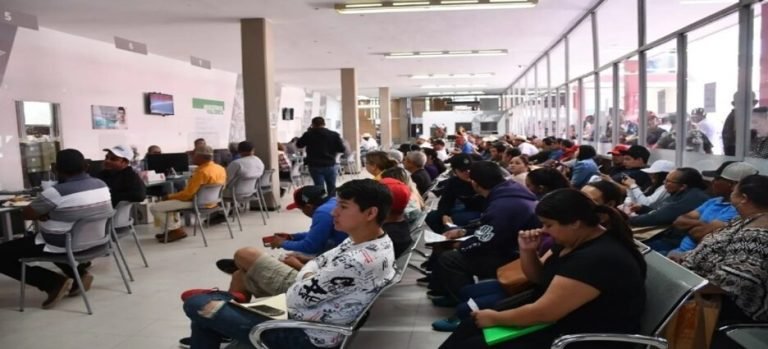 Denuncian coyotaje en trámites vehiculares