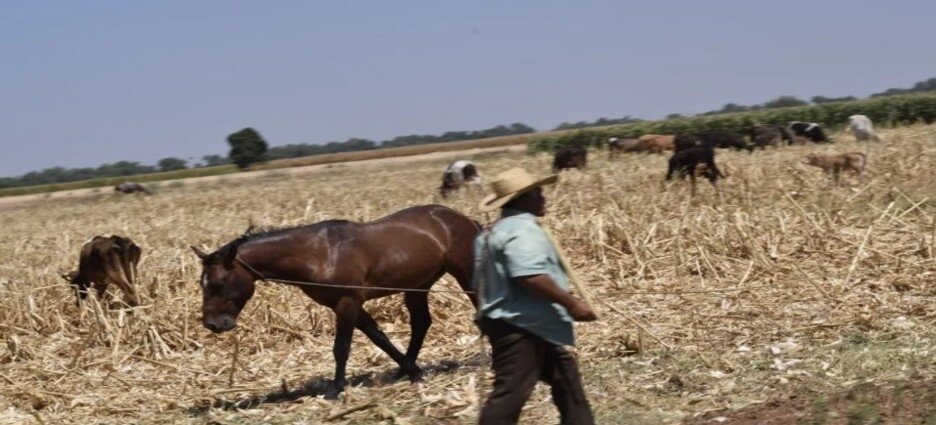 Invitan al programa de semillas gratuitas