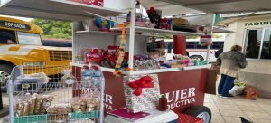 Colectivo de Mujeres Productivas se instalará durante los fines de semana