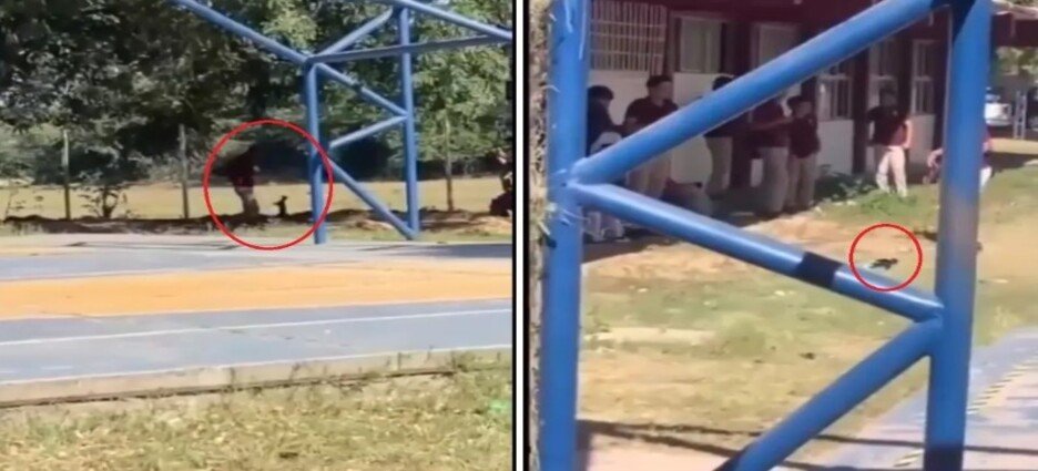 Causa indignación caso de alumnos del CETIS 108 por tortura animal