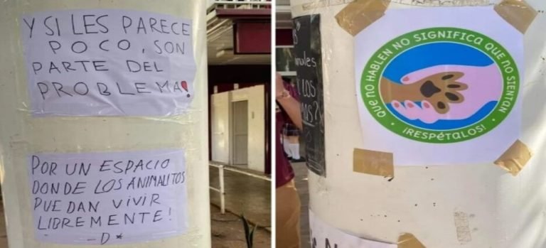 Protestan estudiantes del Cetis 108 por caso de abuso animal