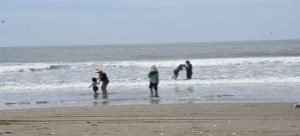 Alerta por presencia de aguamalas y mantarrayas en playas de Guasave