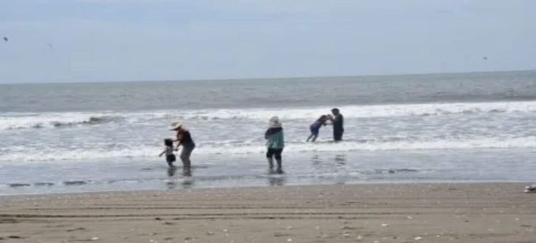 Alerta por presencia de aguamalas y mantarrayas en playas de Guasave