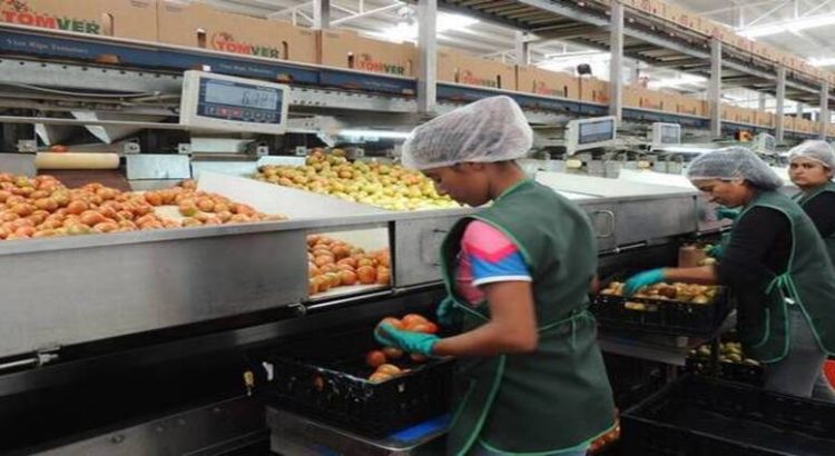 En Sinaloa se generaron 19 mil nuevos empleos formales en marzo