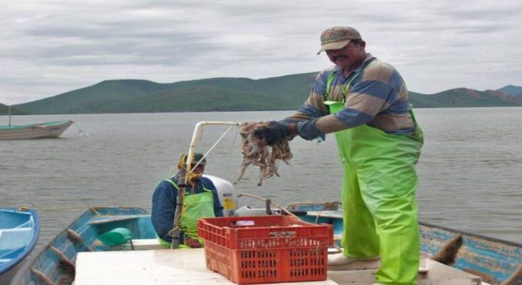 Pescadores piden que se controle la contaminación del mar por uso de agroquímicos