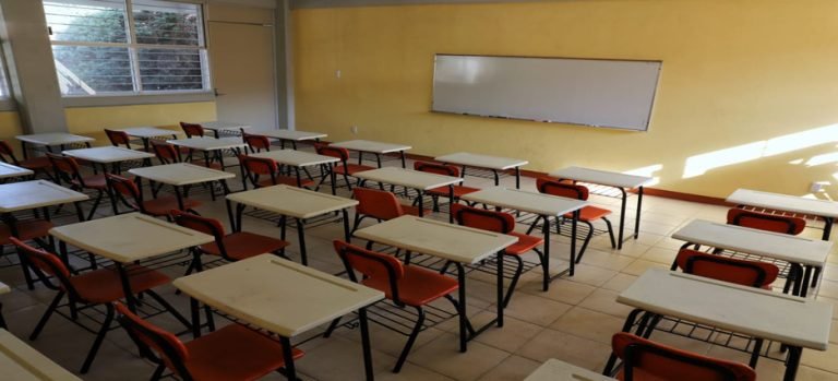 Reactivarán el programa de rehabilitación de mobiliario de escuelas primarias