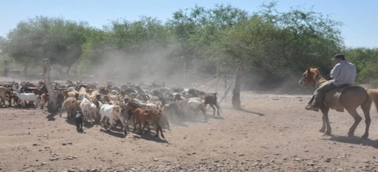 Pueblos con sequía serán a poyados por los módulo de riego