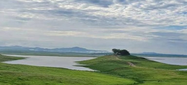 Sinaloa solo cuenta con un 2.6% de Área Natural Protegida