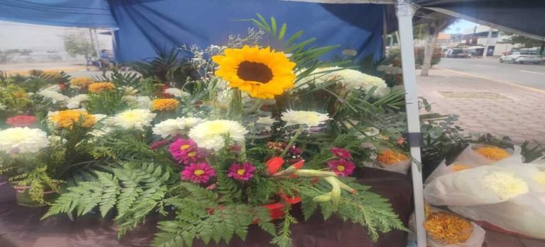 Vendedores de flores reportaron bajas ventas este 10 de mayo