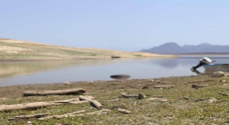 Sequía llega a niveles alarmantes en Sinaloa