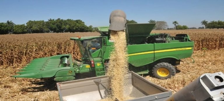 Incertidumbre en la venta del maíz afectaría ingresos del impuesto predial rústico