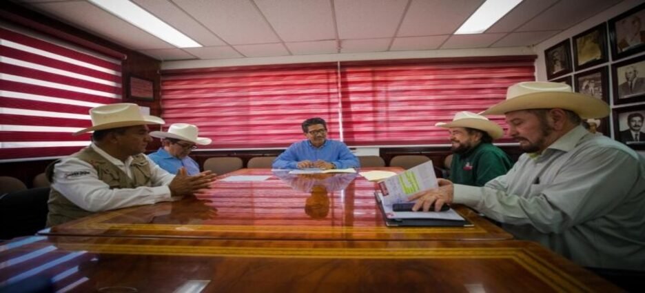 Implementan campaña intensiva para erradicar la brucelosis en Guasave