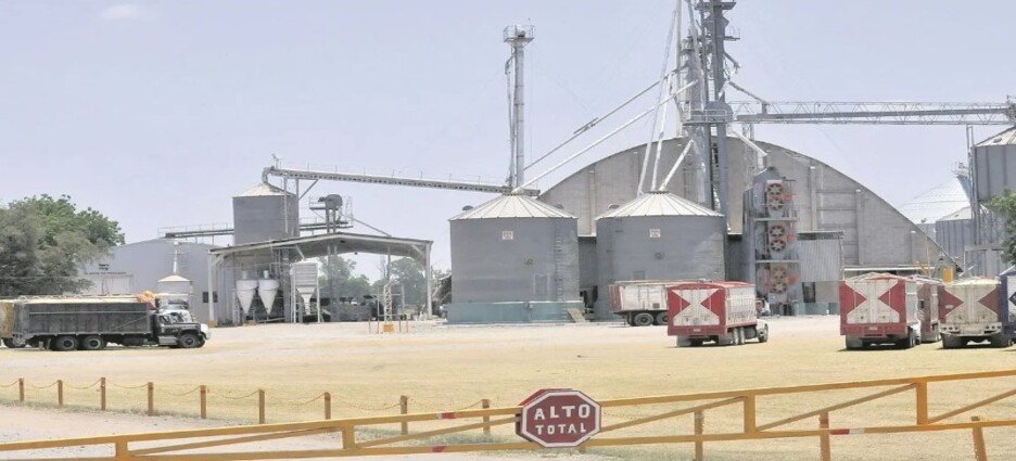 En Guasave se han blindado espacios en bodegas para el acopio de maíz