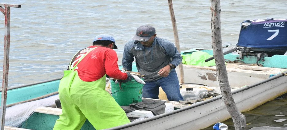 Agroquímicos afectan la pesca en Guasave