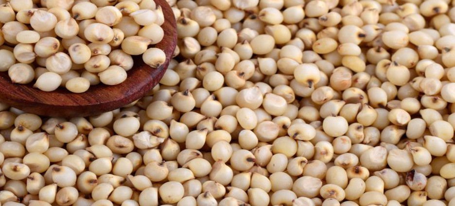 Asociación Ganadera entregará costales de semillas en Guasave