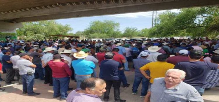 Productores de Guasave se manifestaron para exigir el pago a Segalmex