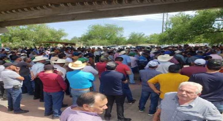 Productores de Guasave se manifestaron para exigir el pago a Segalmex
