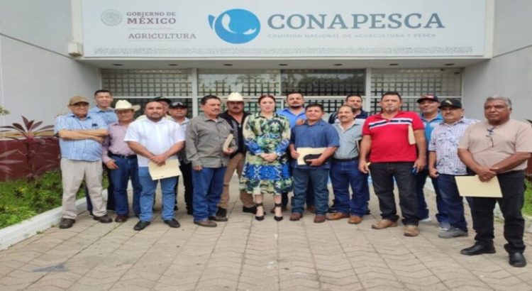 Buscan regionalizar la pesca de camarón en Sinaloa