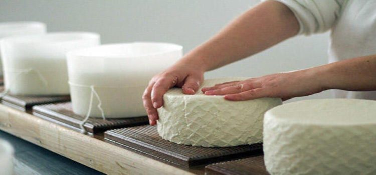 Se impartirán cursos para realizar una buena practica en la elaboración de quesos