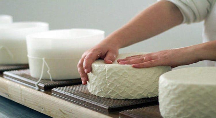 Se impartirán cursos para realizar una buena practica en la elaboración de quesos