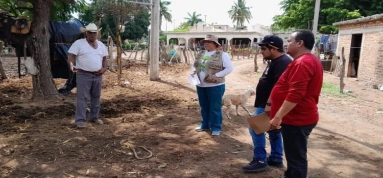 Dan inicio a operativo para regulación de corrales en Guasave