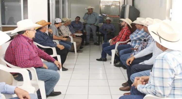 Se aperturará ventanilla para atender a ganaderos en el municipio de Guasave