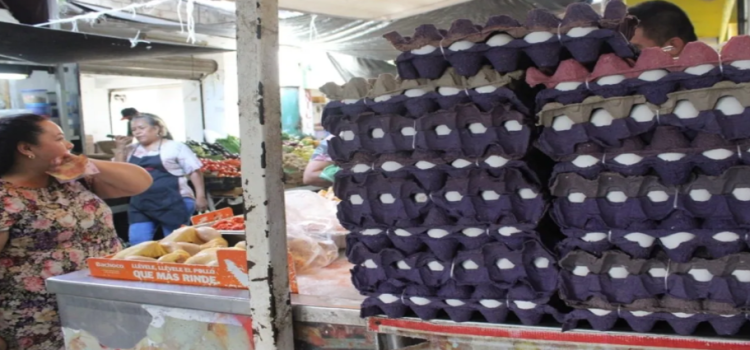 Coepriss inspecciona negocios que venden huevo por virus de influenza aviar