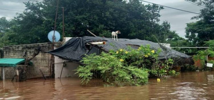 En Sinaloa aún hay 5 municipios con inundaciones