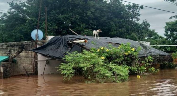 En Sinaloa aún hay 5 municipios con inundaciones