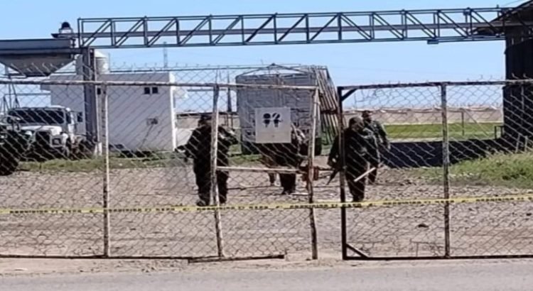 Autoridades municipales realizan cateo en empresa agrícola para buscar a Iram Ramsés “N” Autoridades municipales realizan cateo en empresa agrícola para buscar a Iram Ramsés “N”